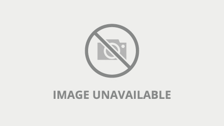 This is totally unacceptable- Brandi Love